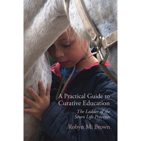 a-practical-guide-to-curative-education_1807472295