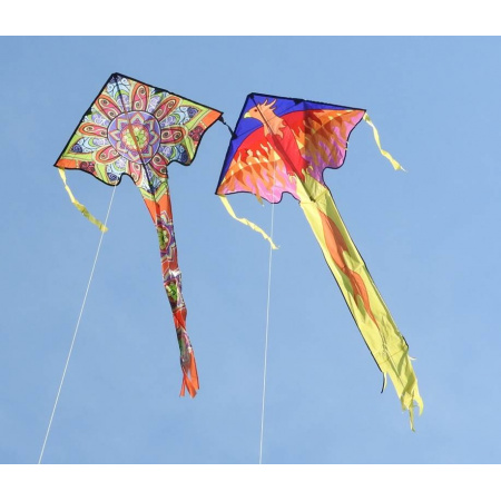 kite-large-easy-flyer