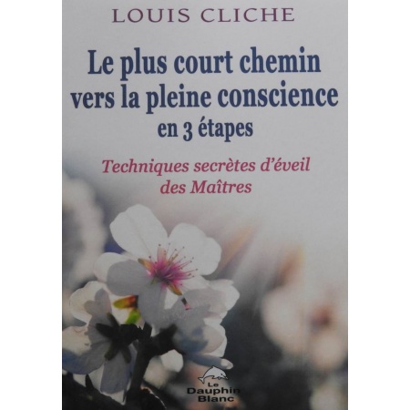 plus-court-chemin-pleine-conscience