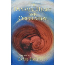 dynamic-heart-circulation