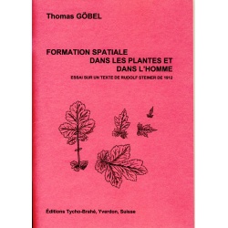 formation-spatial-homme-plante