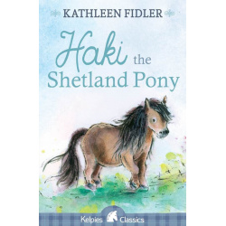 haki-the-shetland-pony