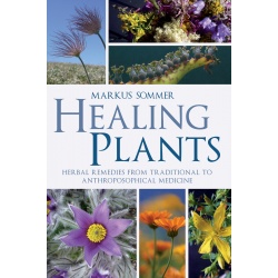 healing-plants