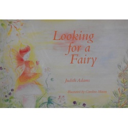 looking-for-fairy