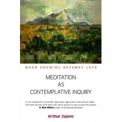 meditation-as-contemplative-inquiry