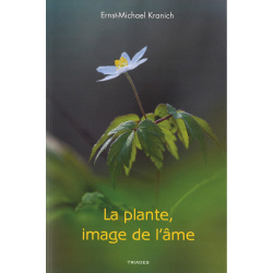 plante-image-ame