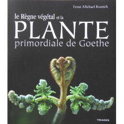 plantes-primordiale-goethe