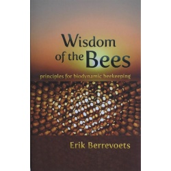 wisdom-of-the-bees