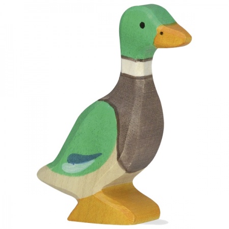 canard-80021