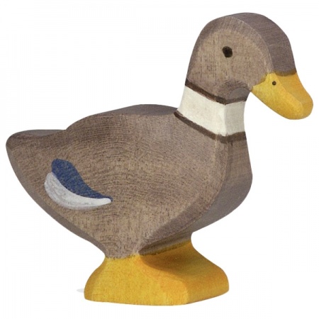 canard-80023