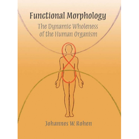 functional-morphology