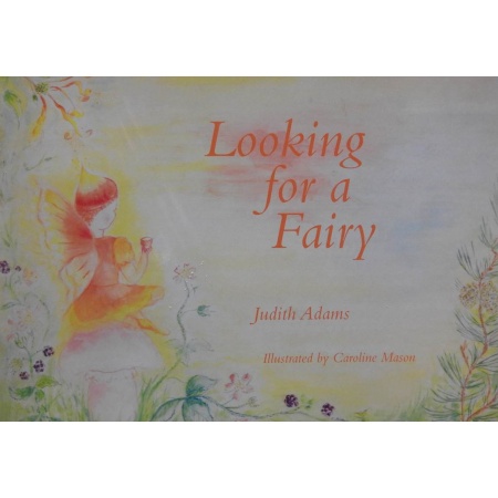 looking-for-fairy