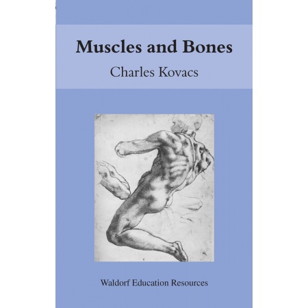 muscles-and-bones