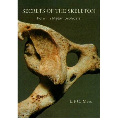 secrets-of-the-skeleton